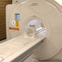 Thumbnail of post image 072