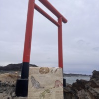 Thumbnail of post image 187