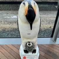 Thumbnail of post image 171