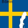 Amazon | Bibeln (Swedish Edition) [Kindle edition] by Dank, Helfen aus | Bible &
